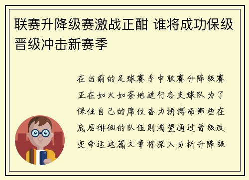 联赛升降级赛激战正酣 谁将成功保级晋级冲击新赛季