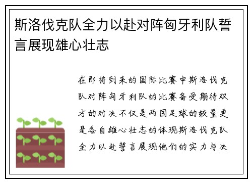 斯洛伐克队全力以赴对阵匈牙利队誓言展现雄心壮志