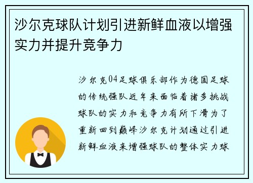 沙尔克球队计划引进新鲜血液以增强实力并提升竞争力