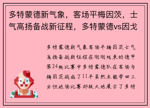 多特蒙德新气象,客场平梅因茨,士气高扬备战新征程,多特蒙德vs因戈施塔特